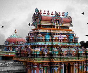 Best of Tamilnadu and Kerala Tour 